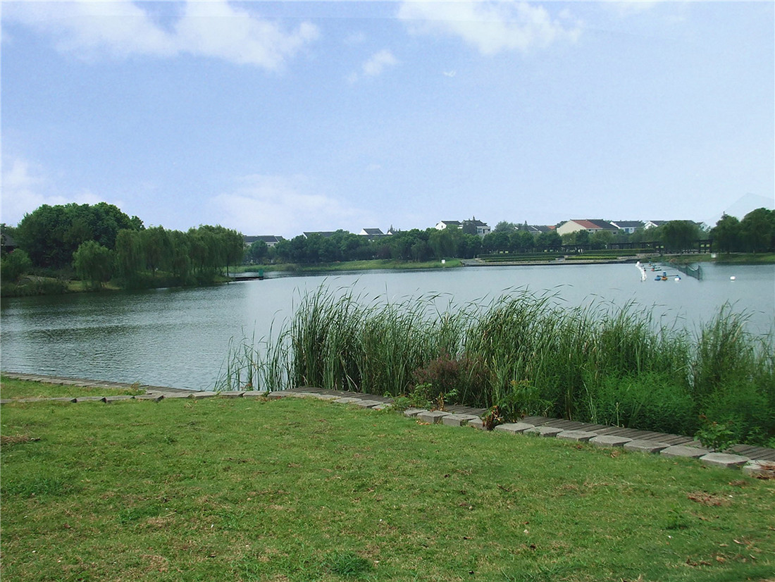展板2-8.jpg